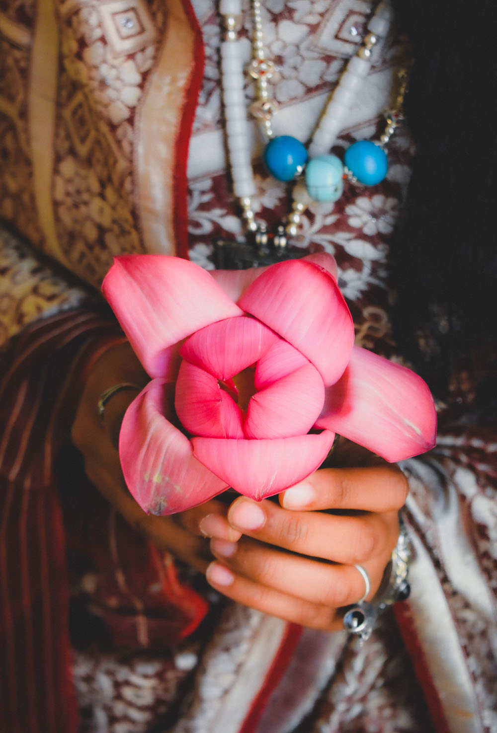 Close-up shot of a woman with sari and holding lotus flower